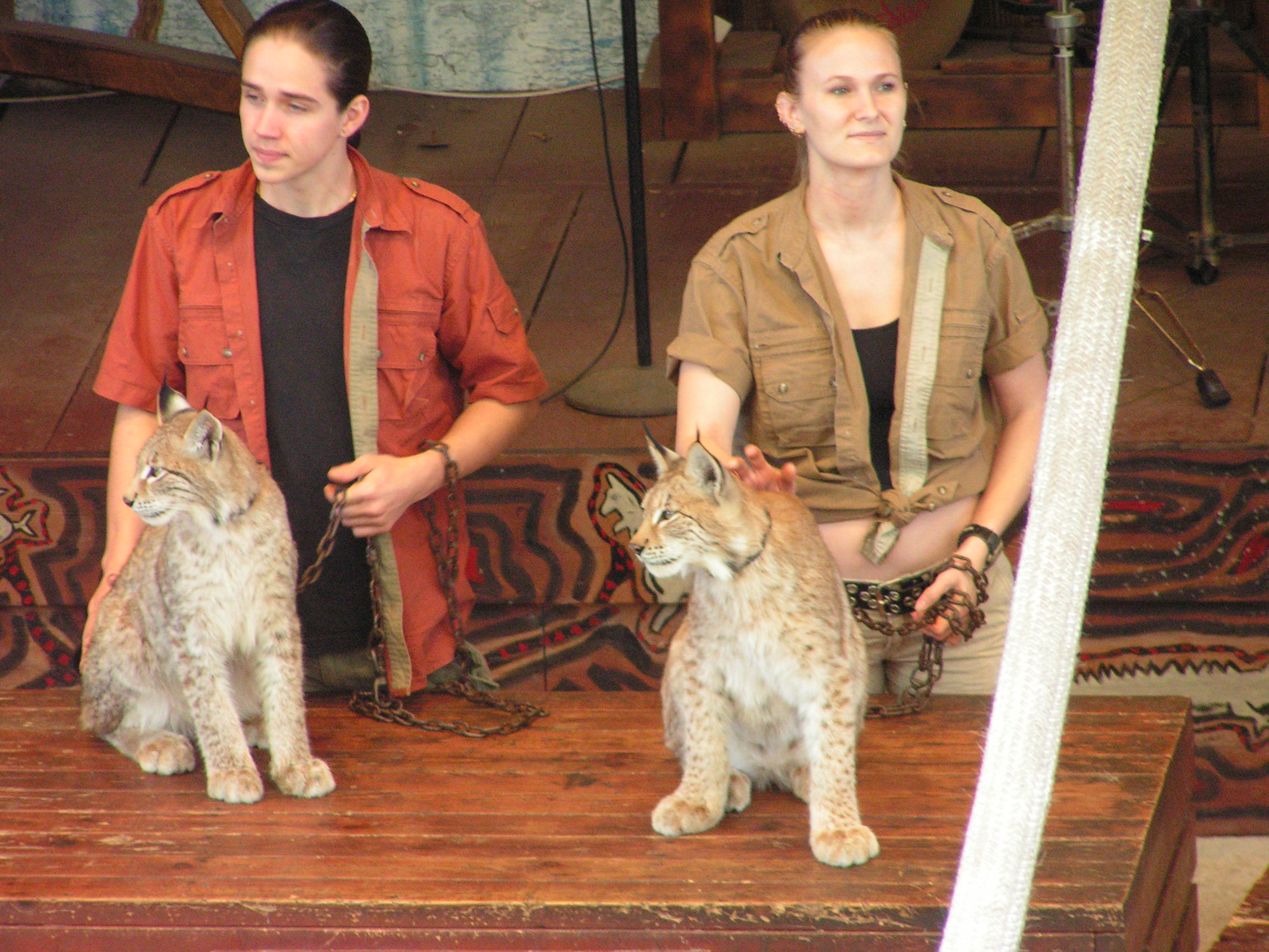 ./2006/Christmas/Parrot Jungle/PICT0257.JPG